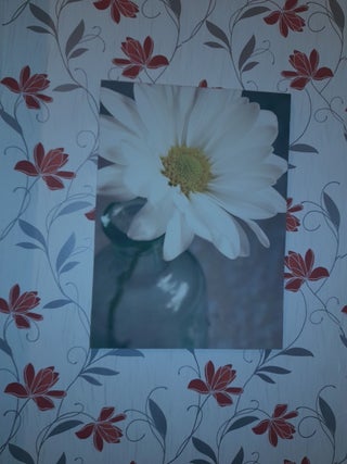 flower wall decoration