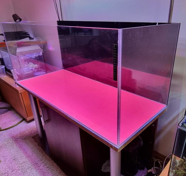 300l fishtank