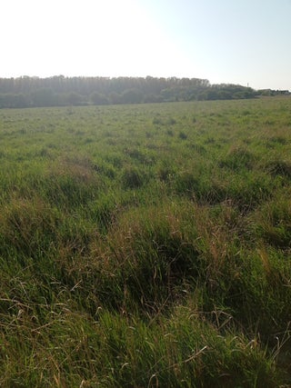 SITIO PARA CONSTRUIR... TU CASA DE TUS SUEÑOS 🕊️
