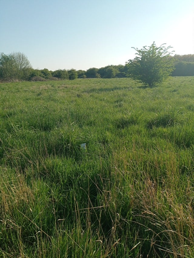 SITIO PARA CONSTRUIR... TU CASA DE TUS SUEÑOS 🕊️
