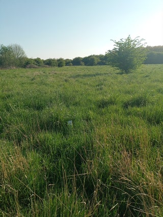 SITIO PARA CONSTRUIR... TU CASA DE TUS SUEÑOS 🕊️