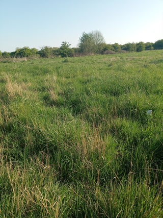 SITIO PARA CONSTRUIR... TU CASA DE TUS SUEÑOS 🕊️