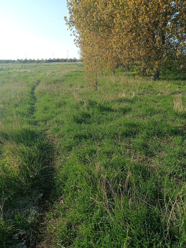 SITIO PARA CONSTRUIR... TU CASA DE TUS SUEÑOS 🕊️
