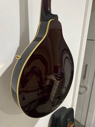 Mandolins