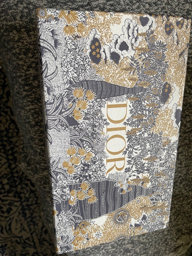 Dior shoes
